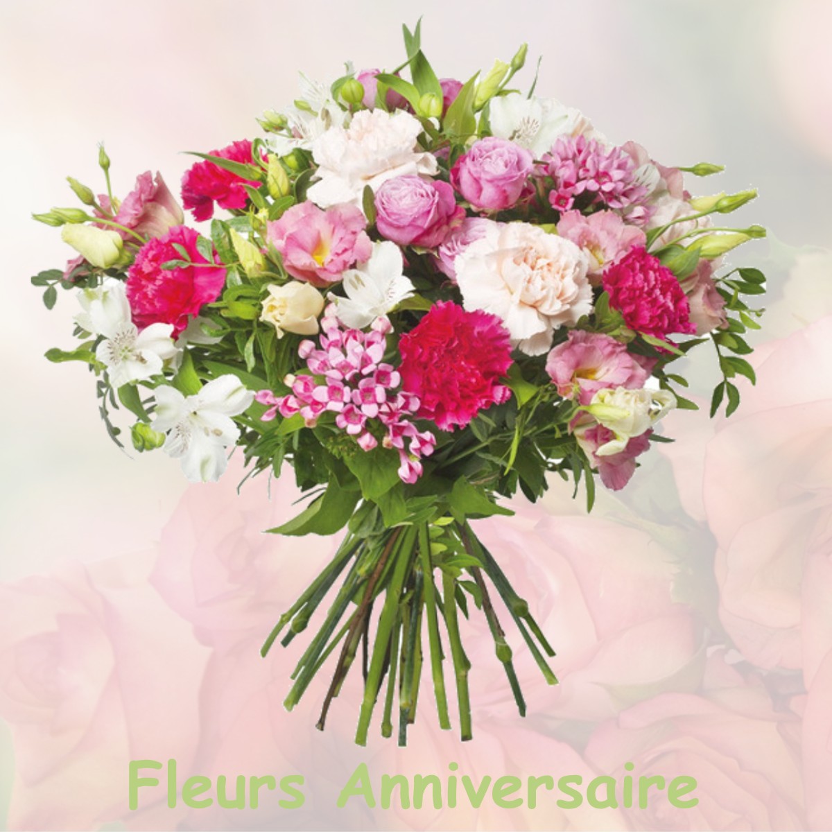 fleurs anniversaire BRUILLE-LEZ-MARCHIENNES